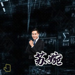 苏婉